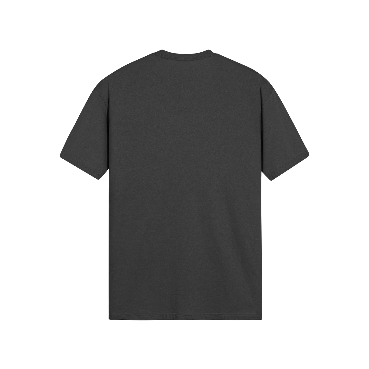0-Y81-Back Side
