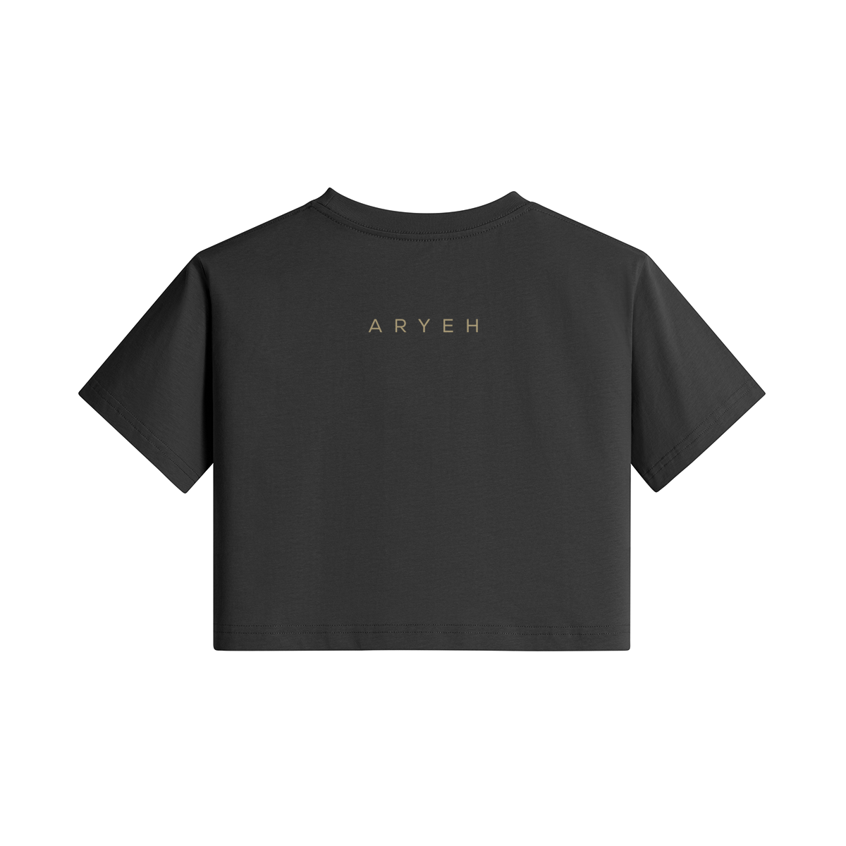 Aryeh Crop Top - Hamsa  Solid Gold